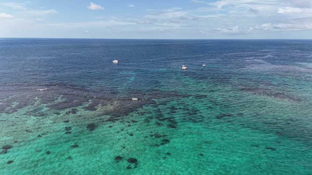 West End Coral Reef