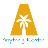 transparent logo